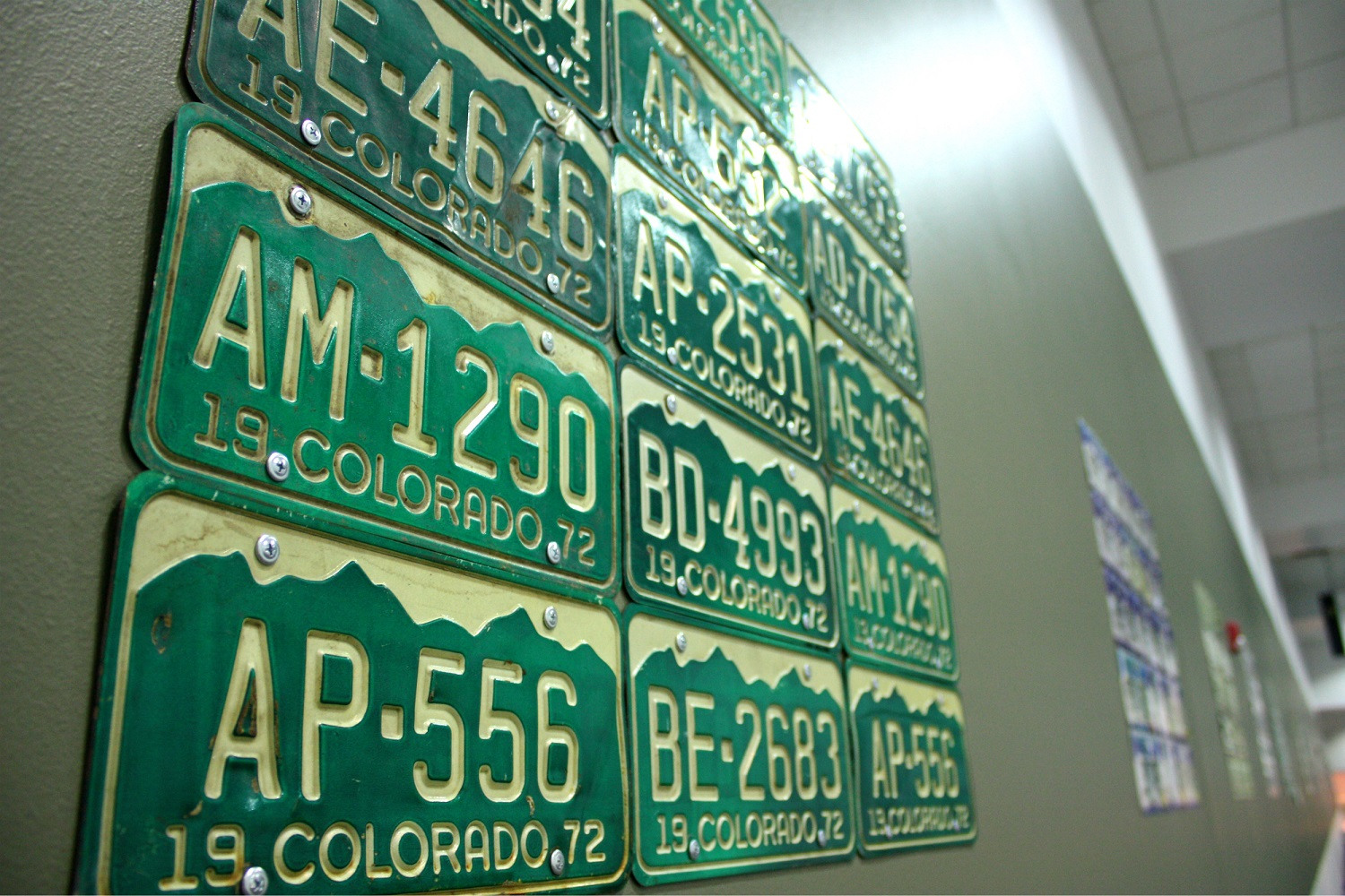 License Plates